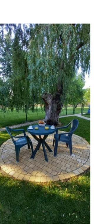 Logement Lumineux, Entierement Renove Avec Jardin Caumont-sur-Durance エクステリア 写真
